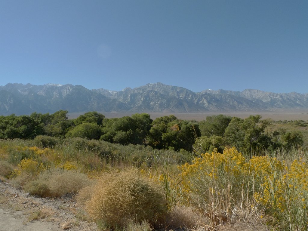 California-Fall2010 673.JPG